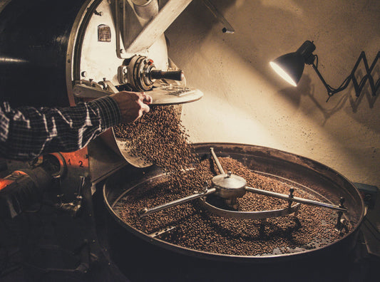 Speciality Coffee: Everything You Need To Know